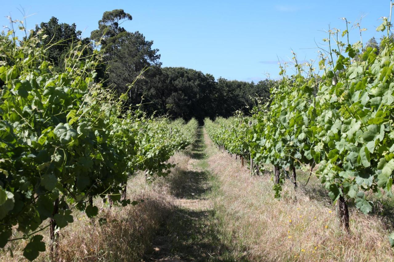 Quinta De Chousas - Braga - Agroturismo Luaran gambar