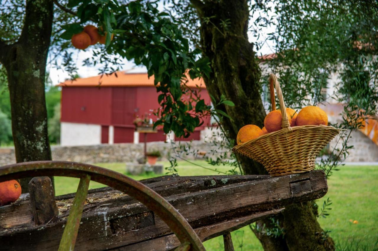 Quinta De Chousas - Braga - Agroturismo Luaran gambar