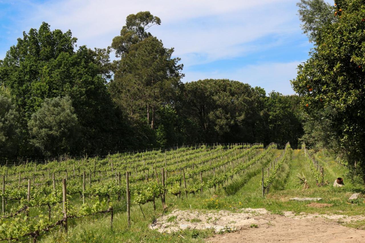 Quinta De Chousas - Braga - Agroturismo Luaran gambar